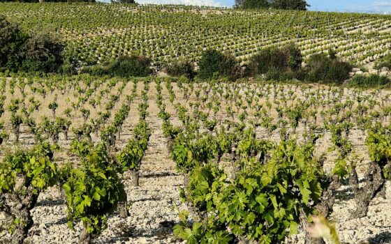 Mes envies dexploration en Occitanie en 2025
